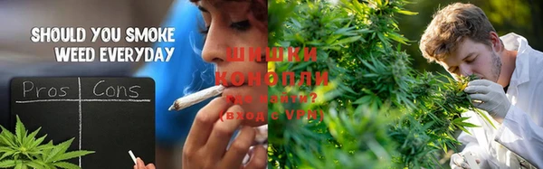 крисы Лабытнанги