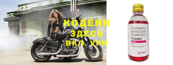шишки Ладушкин
