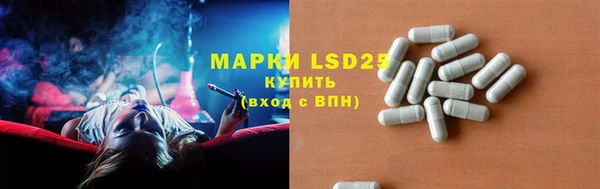крисы Лабытнанги