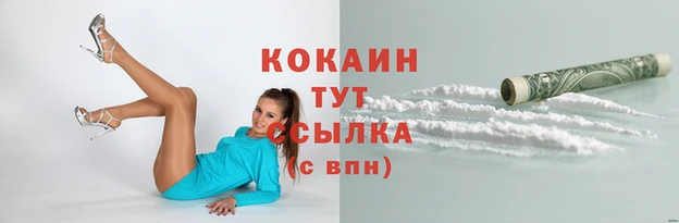крисы Лабытнанги