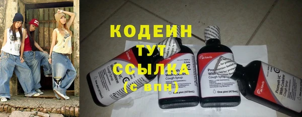 крисы Лабытнанги