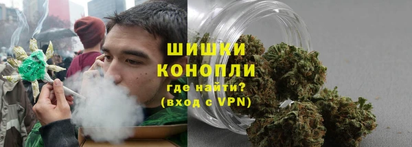шишки Ладушкин