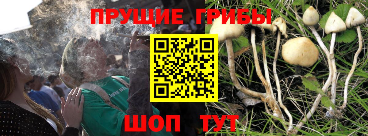 Галлюциногенные грибы прущие грибы Фрязино