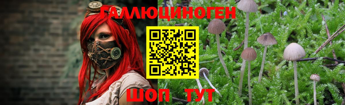 Фрязино  Галлюциногенные грибы ЛСД  Вход с VPN 
